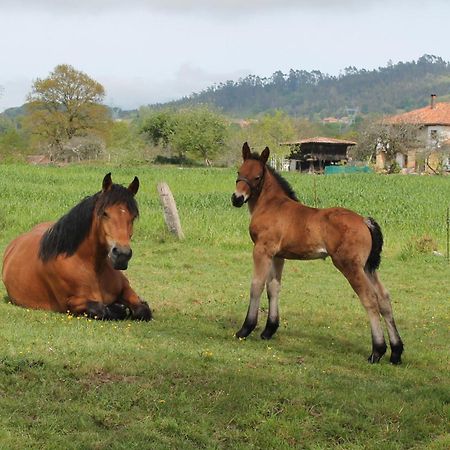 Willa Casa De Aldea Monga 9 En Nava, Asturias Zewnętrze zdjęcie