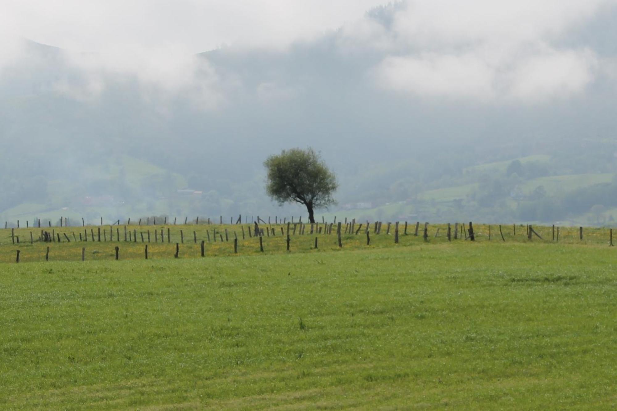 Willa Casa De Aldea Monga 9 En Nava, Asturias Zewnętrze zdjęcie