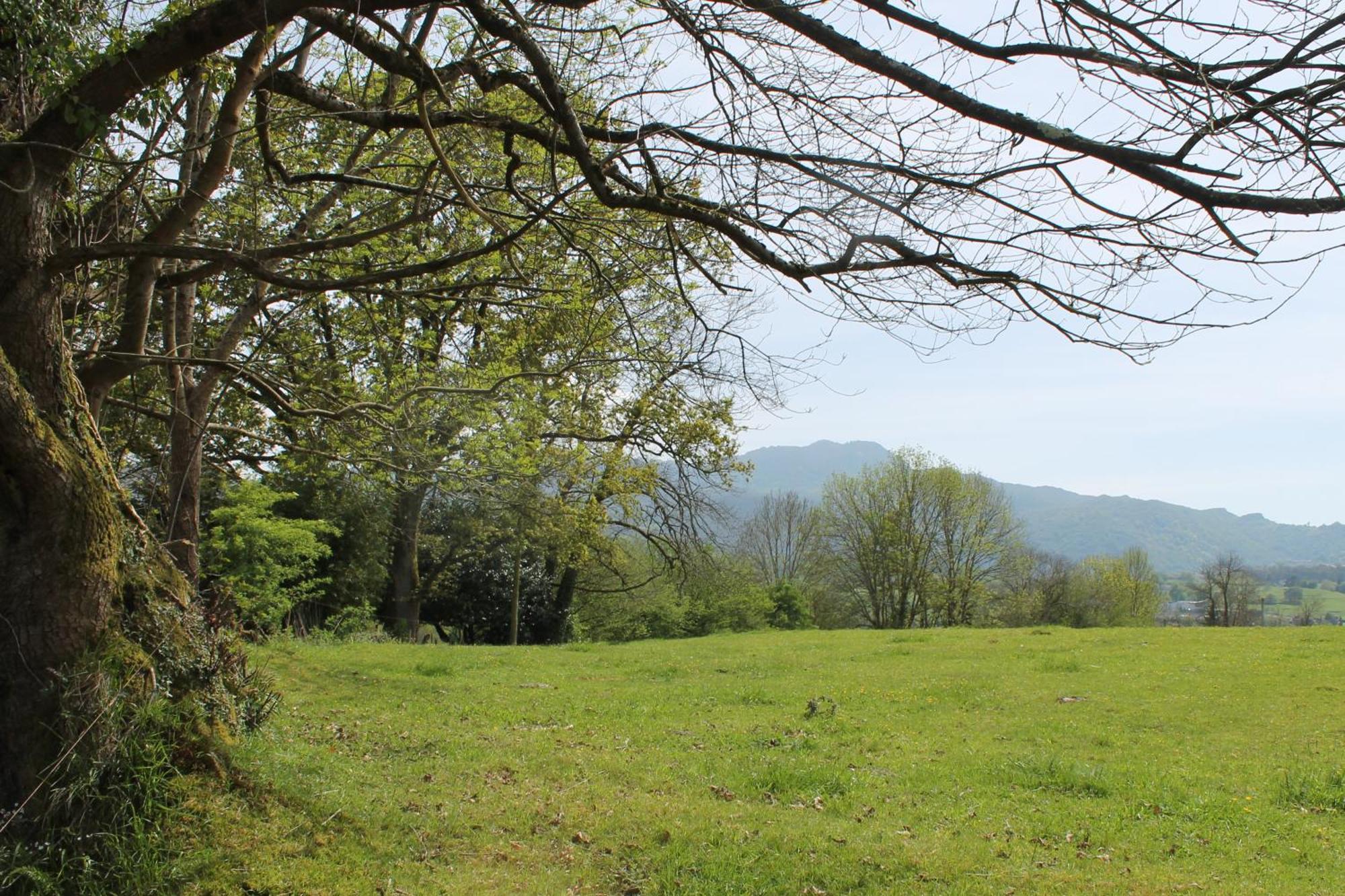 Willa Casa De Aldea Monga 9 En Nava, Asturias Zewnętrze zdjęcie