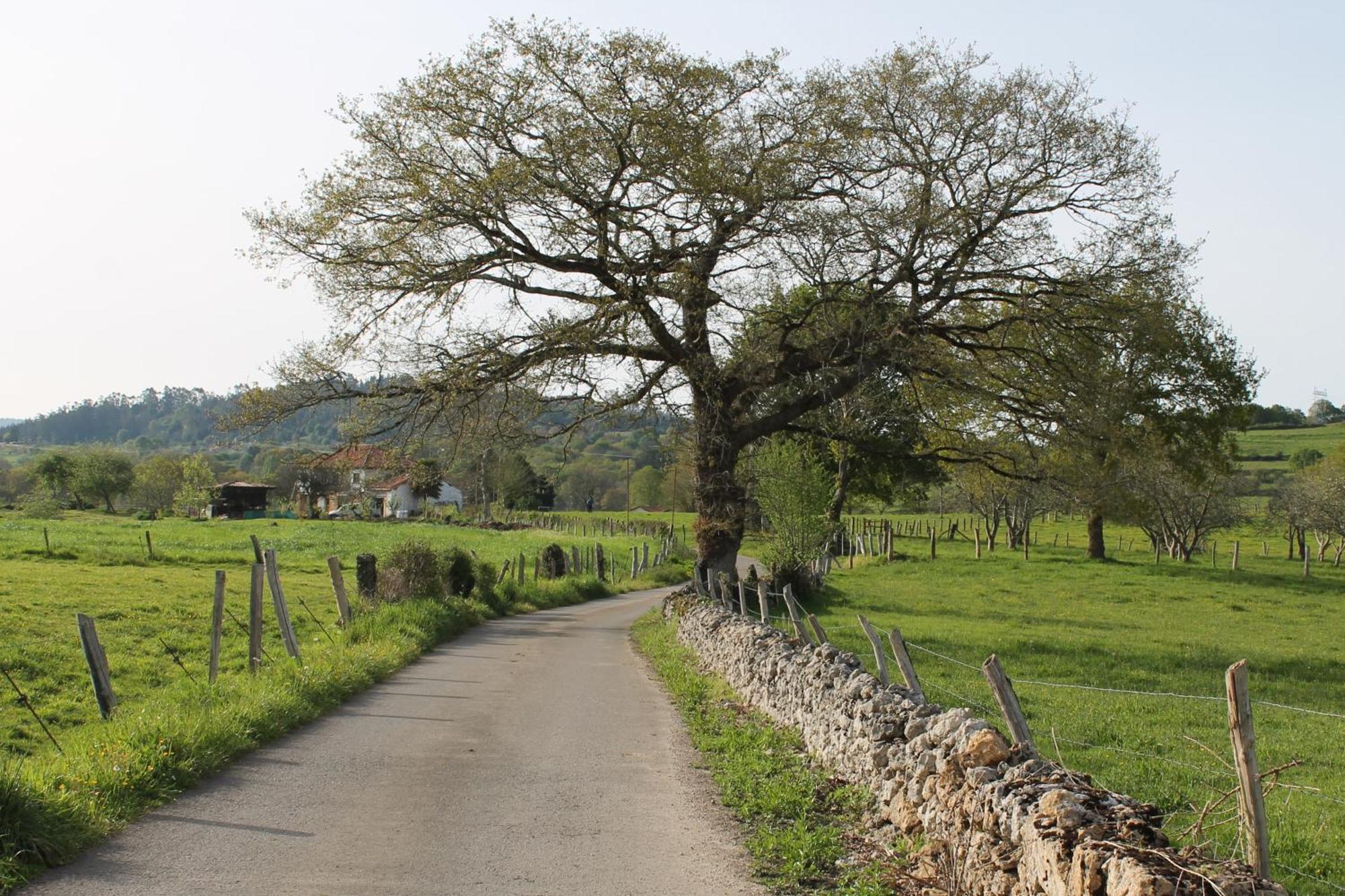 Willa Casa De Aldea Monga 9 En Nava, Asturias Zewnętrze zdjęcie